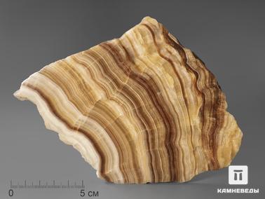 Оникс мраморный. Оникс мраморный (медовый), полированный срез 12х11 см