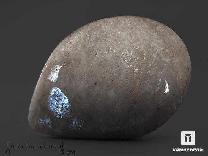 Беломорит, полированная галька 8,2х5,7х1 см, 1711, фото 1
