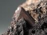 Зуниит на гематите, 5,8х5,6х3,3 см, 1914, фото 3