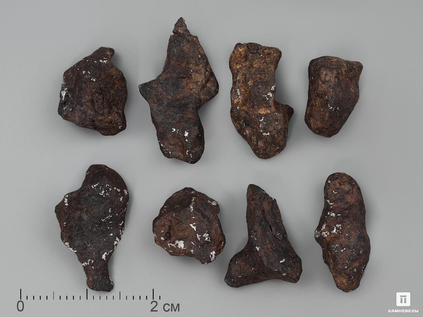 Метеорит Agoudal железный, 1-2 см (2-3 г) железный ганс