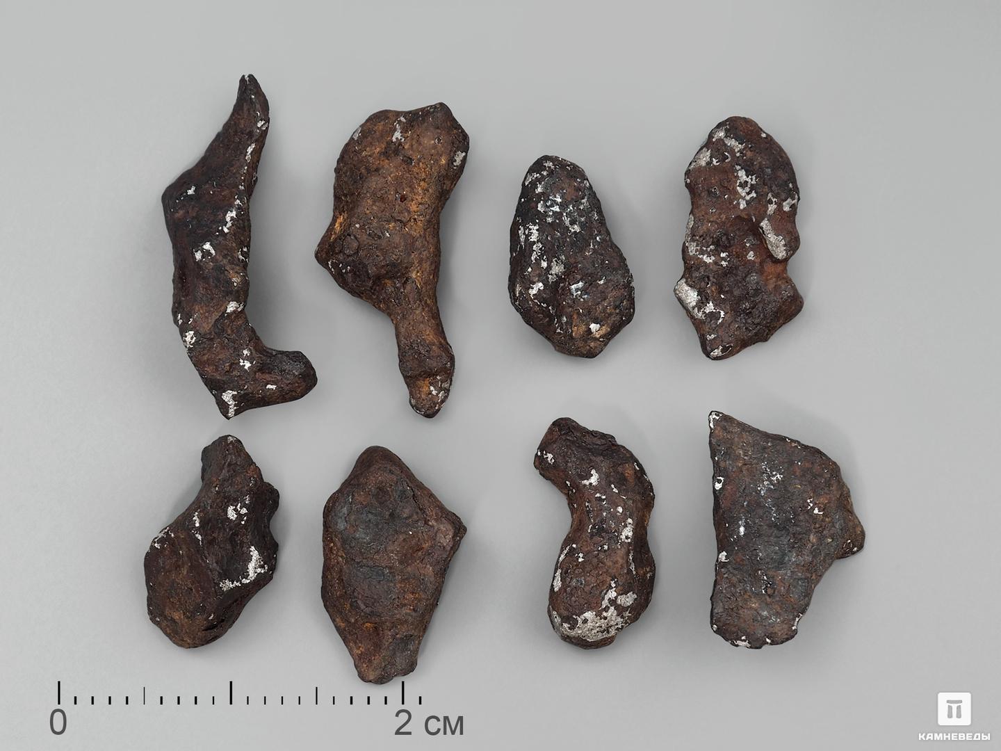 Метеорит Agoudal железный, 0,5-2 см (1-2 г) железный король