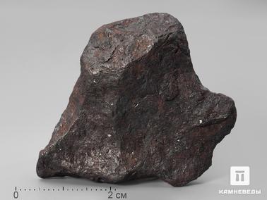 Метеориты. Метеорит Canyon Diablo железный, 4,5х3,6х1,2 см