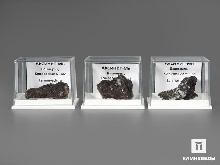 Аксинит-(Mn) в пластиковом боксе, 2,5-3 см, 1536, фото 2