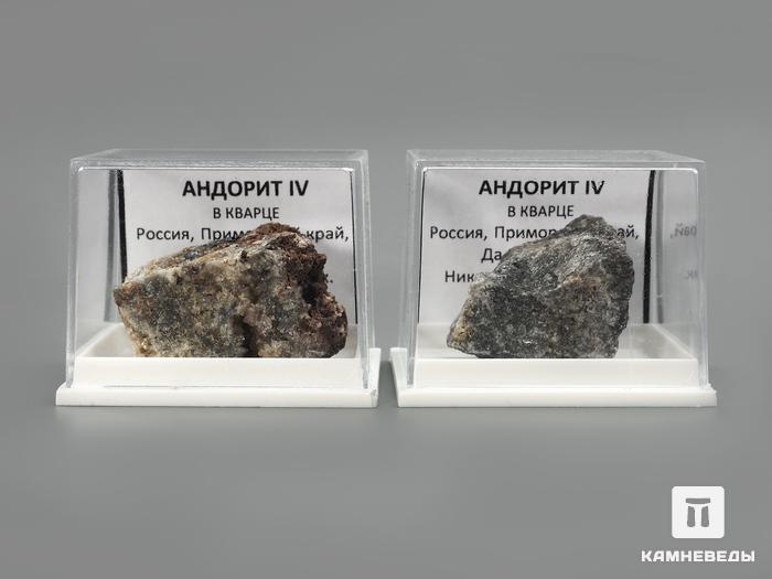 Андорит IV в пластиковом боксе, 2,5-3,5 см, 1617, фото 2
