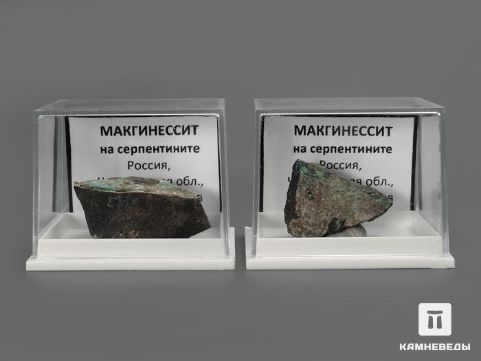 Макгиннессит на серпентините в пластиковом боксе, 2-3 см, 1605, фото 2