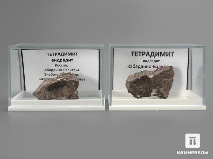 Тетрадимит с андрадитом в пластиковом боксе, 3,5-4 см, 1613, фото 2