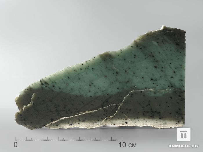 Нефрит, полированный срез 16,3х10х0,9 см, 2010, фото 1