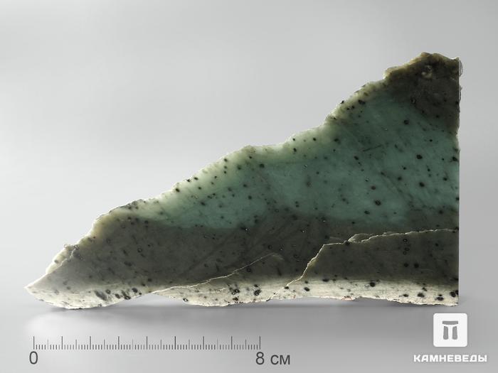 Нефрит, полированный срез 15,7х9,2х0,9 см, 2009, фото 1