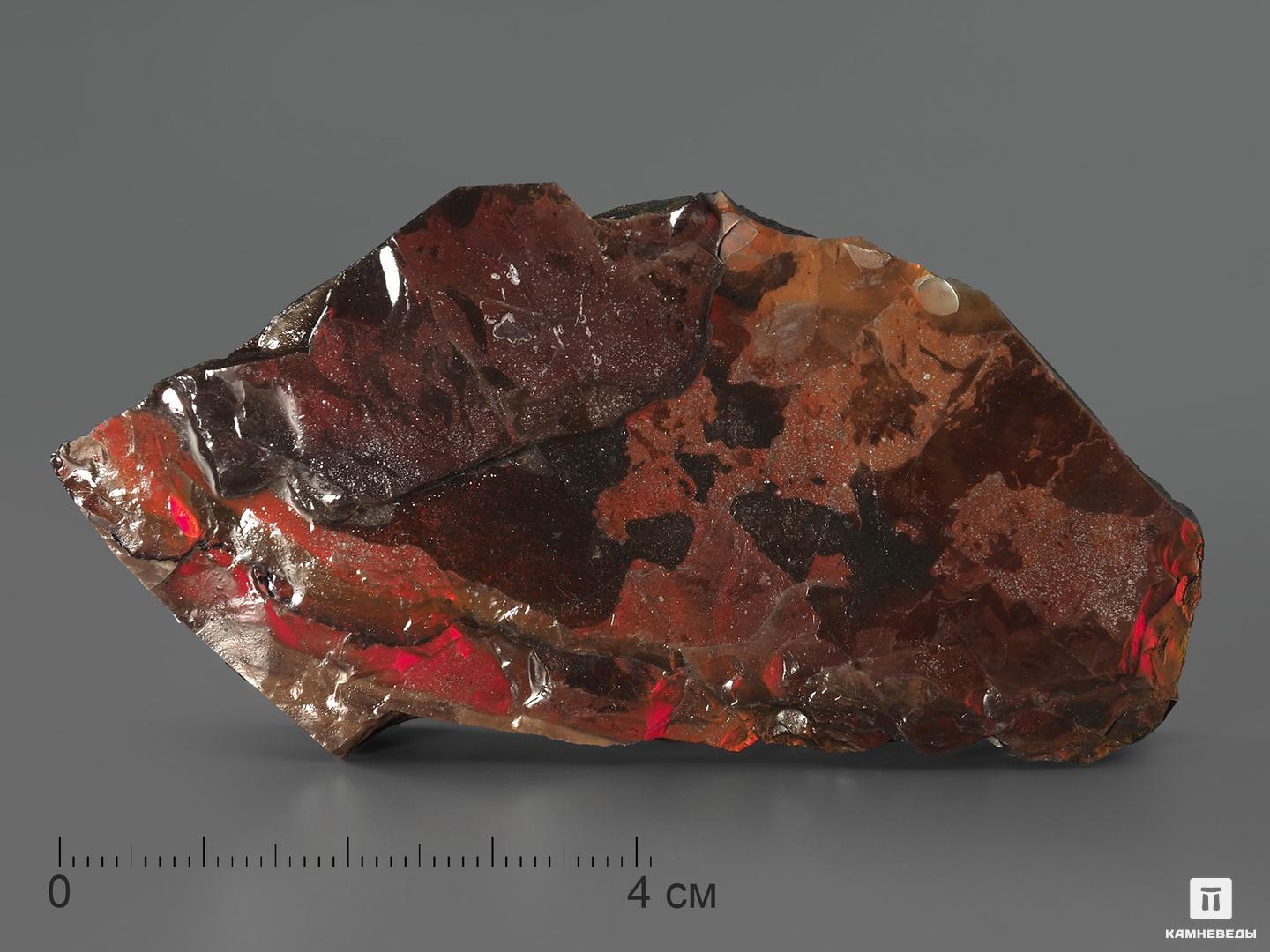 Аммолит (ископаемый перламутр аммонита), 8х4,3х1,2 см древний корпорация
