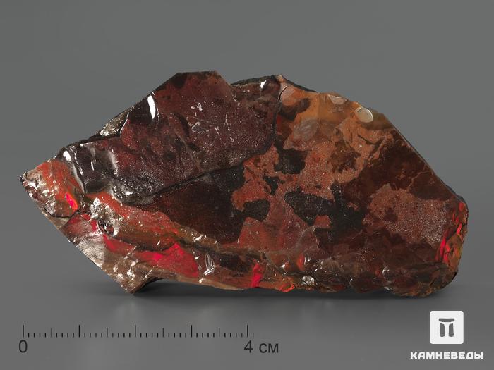Аммолит (ископаемый перламутр аммонита), 8х4,3х1,2 см, 2054, фото 1