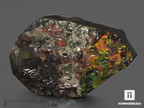 Аммолит (ископаемый перламутр аммонита), 9х6,3х1,9 см