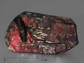 Аммолит (ископаемый перламутр аммонита), 8,2х4,5х1,1 см