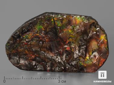 Аммолит. Аммолит (ископаемый перламутр аммонита), 5,8х3,5х0,5 см