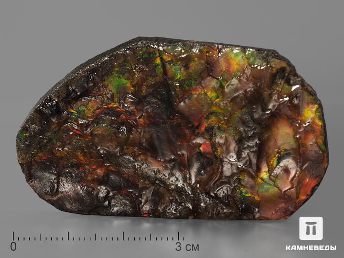 Аммолит (ископаемый перламутр аммонита), 5,8х3,5х0,5 см, 2053, фото 1