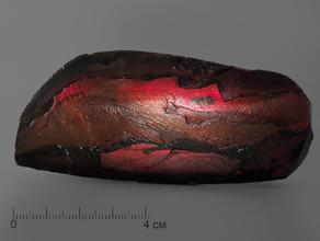 Аммолит (ископаемый перламутр аммонита), 9,4х4,1х1,5 см