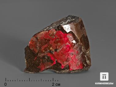 Аммолит. Аммолит (ископаемый перламутр аммонита), 2,5-3,5 см