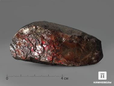 Аммолит. Аммолит (ископаемый перламутр аммонита), 7,3х3,2х1,5 см