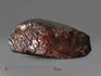 Аммолит (ископаемый перламутр аммонита), 7,3х3,2х1,5 см, 2040, фото 1