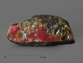 Аммолит (ископаемый перламутр аммонита), 6,8х3,1х1,4 см