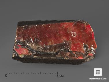 Аммолит. Аммолит (ископаемый перламутр аммонита), 5,1х2,8х0,6 см