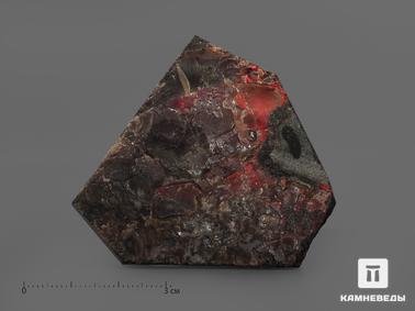 Аммолит. Аммолит (ископаемый перламутр аммонита), 5х4,7 см
