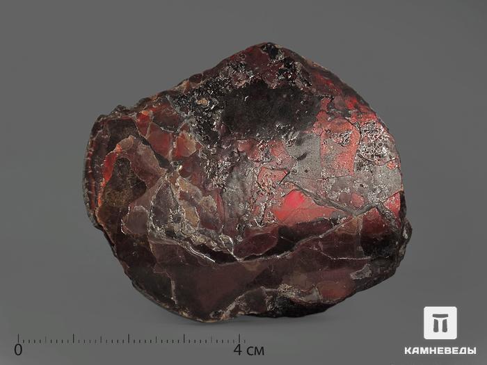 Аммолит (ископаемый перламутр аммонита), 5х4,7 см, 2052, фото 2