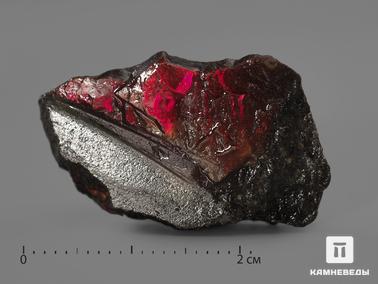 Аммолит. Аммолит, 2,9х1,8х0,7 см