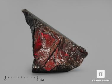 Аммолит. Аммолит (ископаемый перламутр аммонита) в пластиковом боксе, 1,5-3 см