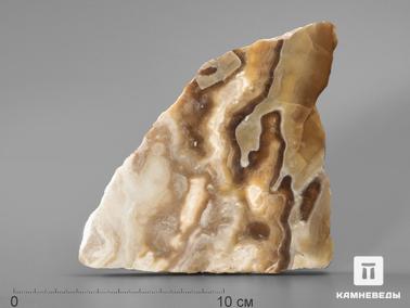 Оникс мраморный. Оникс мраморный (медовый), полированный срез 11,6х11,2х1,1 см