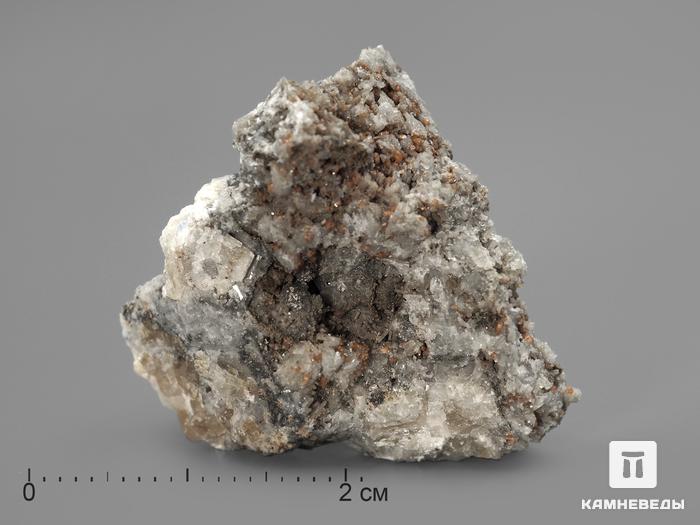 Леммлейнит-Ba в пластиковом боксе, 2-3 см, 2177, фото 1