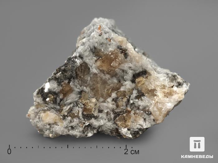 Леммлейнит-Ba в пластиковом боксе, 2-3 см, 2177, фото 2