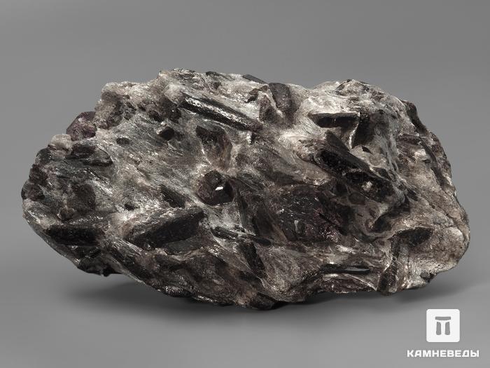 Ставролит с альмандином (гранат), 2462, фото 2