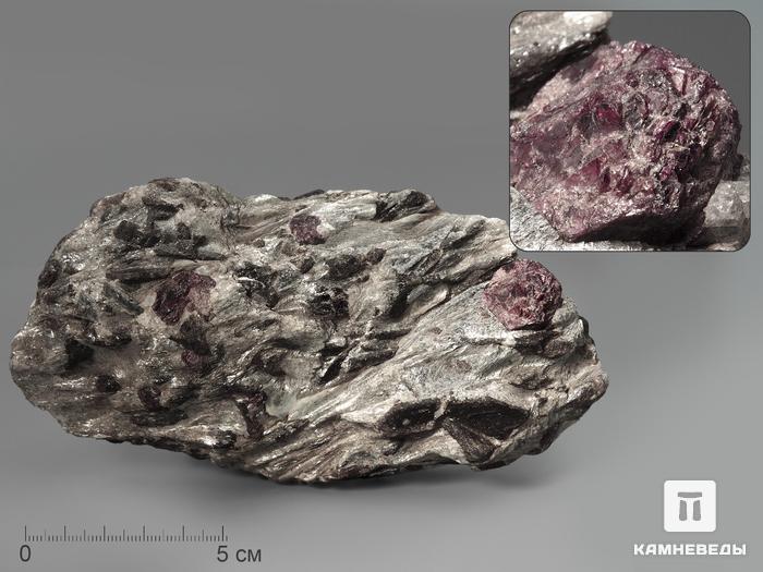 Ставролит с альмандином (гранат), 2462, фото 1