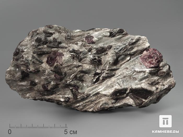 Ставролит с альмандином (гранат), 2462, фото 3