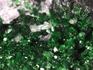 Уваровит (зелёный гранат), 9,7х9,5х6,3 см, 10-111/37, фото 3