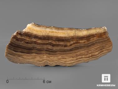 Оникс мраморный. Оникс мраморный (медовый), полированный срез 17х7 см
