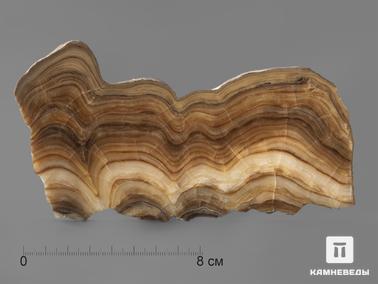 Оникс мраморный. Оникс мраморный (медовый), полированный срез 16х8,8х0,5 см