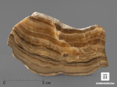 Оникс мраморный. Оникс мраморный (медовый), полированный срез 13,8х7,8х0,8 см