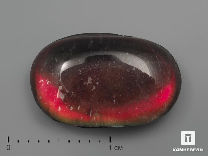Аммолит (ископаемый перламутр аммонита) с горным хрусталем, дублет, 2200, фото 1