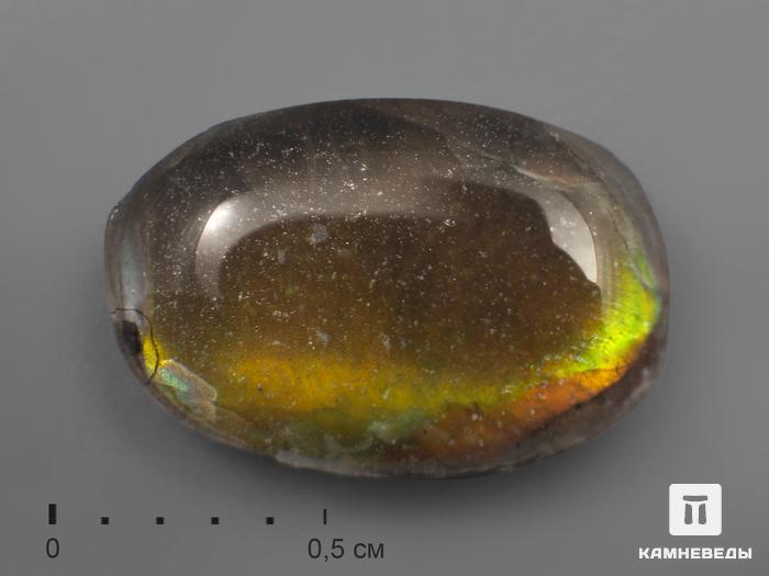 Аммолит (ископаемый перламутр аммонита) с горным хрусталем, дублет, 2204, фото 1
