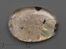 Аммолит (ископаемый перламутр аммонита) с горным хрусталём (кварцем), дублет, 2213, фото 1