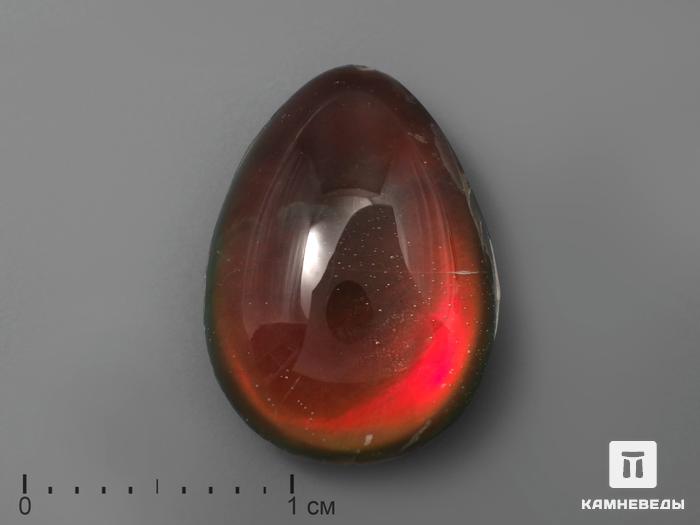 Аммолит (ископаемый перламутр аммонита) с горным хрусталём (кварцем), дублет, 2194, фото 1