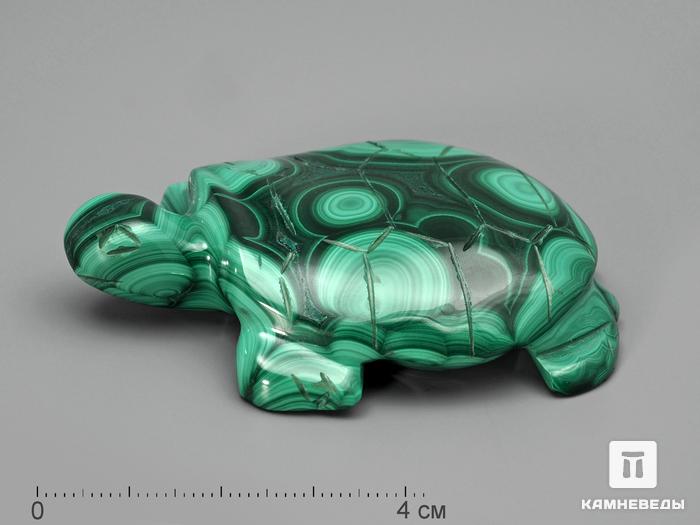 Черепаха из малахита, 6,3х4,5х1,3 см, 2471, фото 1