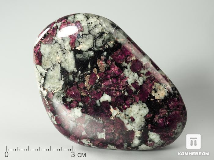 Эвдиалит, полированная галька 7,7х5,4х2,4 см, 2845, фото 1
