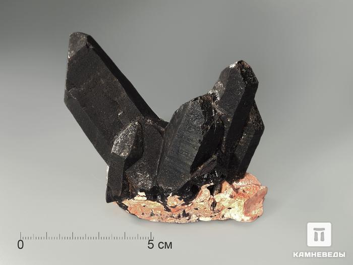 Сросток кристаллов мориона на микроклине, 8,7х6,5х4 см, 2955, фото 3