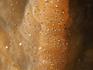 Симбирцит с пиритом, 12,6х9х5,5 см, 2936, фото 3