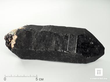 Морион (чёрный кварц). Морион, кристалл 16х5,9х5,4 см