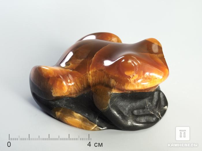 Лягушка из симбирцита, 7,3х5,4х3,9 см, 3049, фото 1