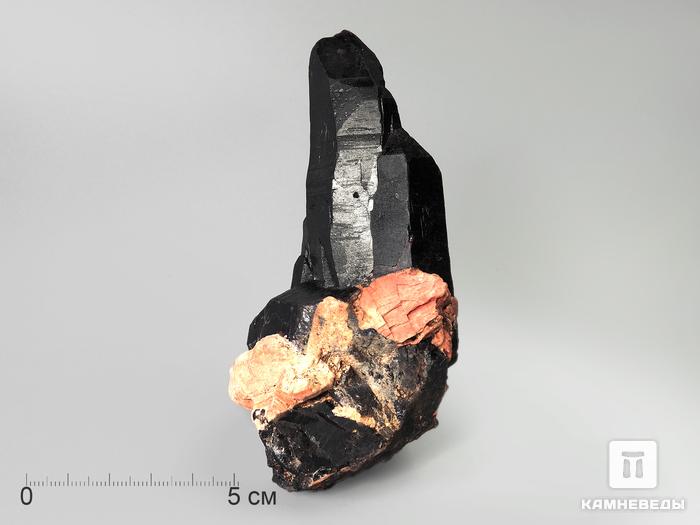 Сросток кристаллов мориона с микроклином, 11,8х5,7х5,7 см, 3176, фото 2
