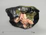 Морион, кристалл 8,4х5,8х4,6 см, 3170, фото 2